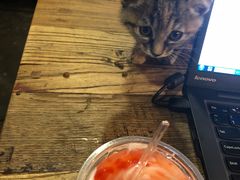 -时光转角咖啡馆(西康路店)