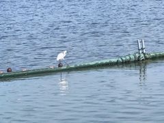 -尚贤河湿地
