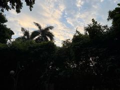 -广州神农草堂中医药博物馆