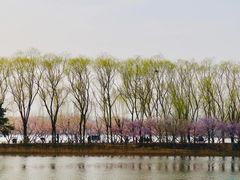 景点-大兴滨河森林公园