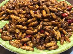 -向民炒鸡老店(火车站店)