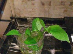 -广州增城富力万达嘉华酒店