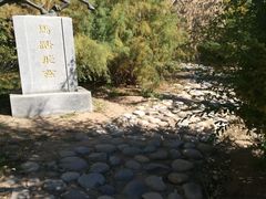 -武清南湖绿博园