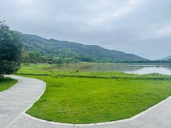 -风云岭森林公园