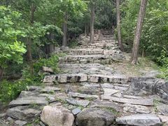 -北京鹫峰国家森林公园