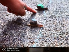 -科隆霍亨索伦桥爱情锁