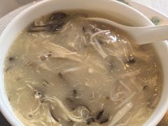 汤鸡丝烩花胶-上海和平饭店龙凤厅 Dragon Phoenix