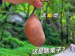 -秦岭终南山世界地质公园翠华山景区