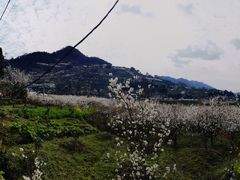 -樱桃山旅游景区