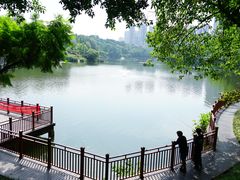 -重庆彩云湖湿地公园
