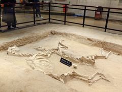 -洛阳周王城天子驾六博物馆