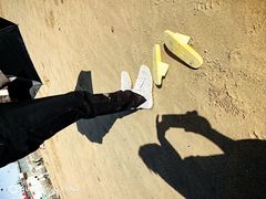 -日照海滨国家森林公园
