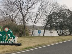 -宜兴龙背山森林公园