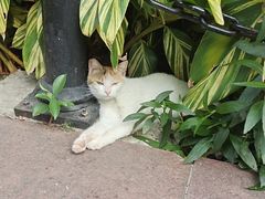 -晓港公园