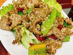 孜然羊肉-教师之家赵家羊汤馆(东青龙街店)