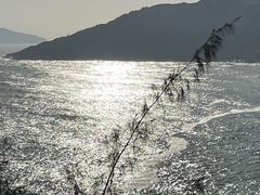 -广东惠东海龟国家级自然保护区