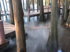 -东湖落雁景区