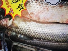 -渡海小渔村.老辈日照菜