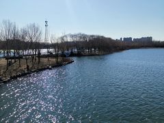 -大兴滨河森林公园