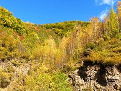 -塞罕坝国家级自然保护区