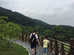 -青龙山国家森林公园