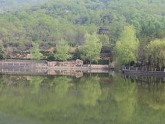 -鲁山国家森林公园