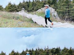 -白草畔自然风景区