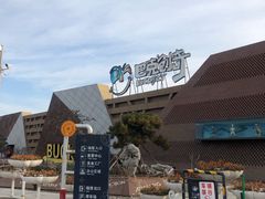 -巴克创奇梦工厂