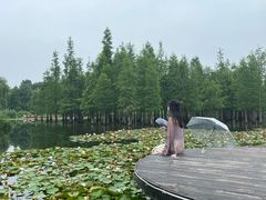 -白鹭湾湿地公园