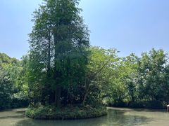 -同里国家湿地公园