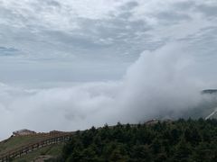 -白草畔自然风景区