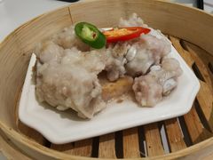 -丁老爷子苏香圆