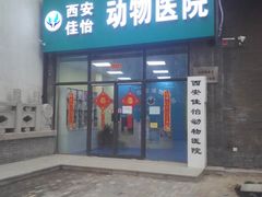 -佳怡动物医院·平价24小时·猫专科骨外科