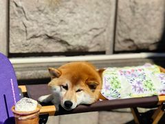 -HANA COFFEE(长寿路店)
