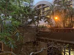 -香港大学