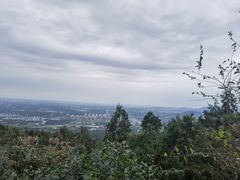 -阳台山自然风景区