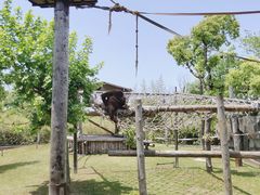 -上海野生动物园