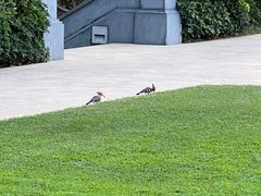 -海南清水湾莱佛士酒店