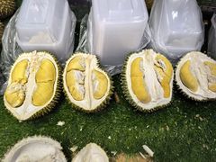 -曼阁市场水果批发市场