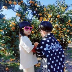 -前小桔亲子创意农场·草莓采摘·露营烧烤
