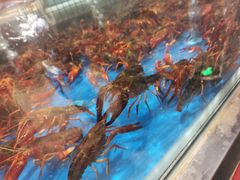 -盒马鲜生(莱蒙都会店)