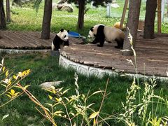 -西安秦岭野生动物园