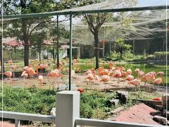 -石家庄市动物园