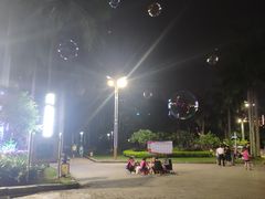 -金砂公园