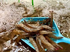 -深圳温德姆至尊酒店