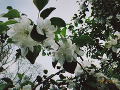 景点-长春世界雕塑园冰雪艺术天地