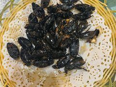 -崖口红树林海鲜餐厅