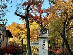 -灵谷景区
