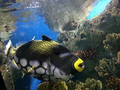 -福州罗源湾海洋世界旅游区