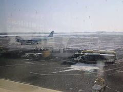 -麦当劳(太平国际机场店)